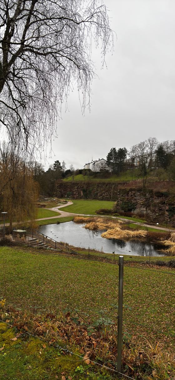 Pond in a park on an overcast day